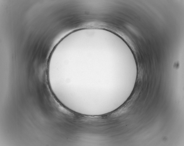 X0000090411486200708101908