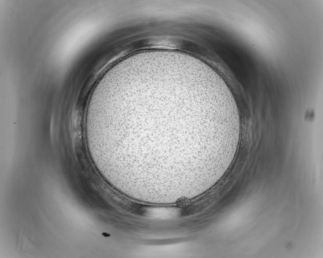 X0000090411487200708101908