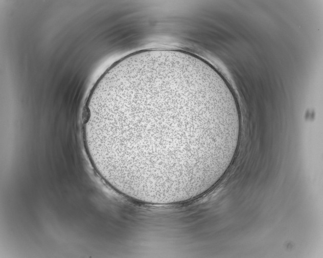 X0000090411488200708101908