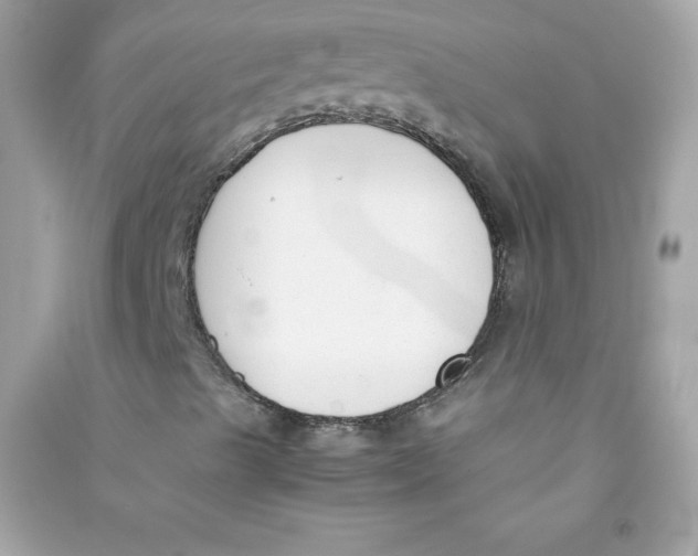 X0000090411489200708101907