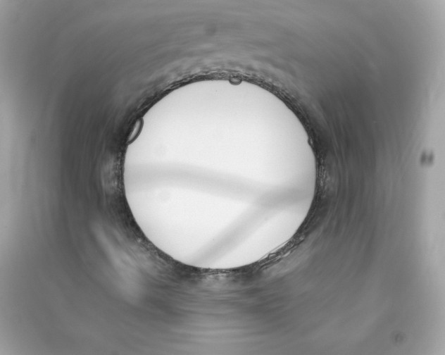 X0000090411490200708101907