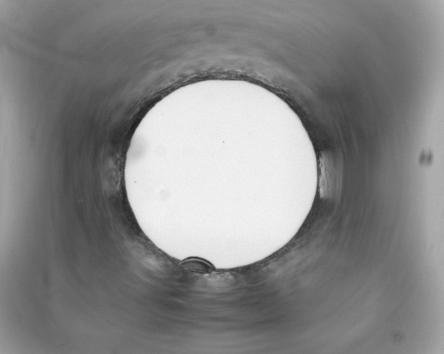 X0000090411491200708101907