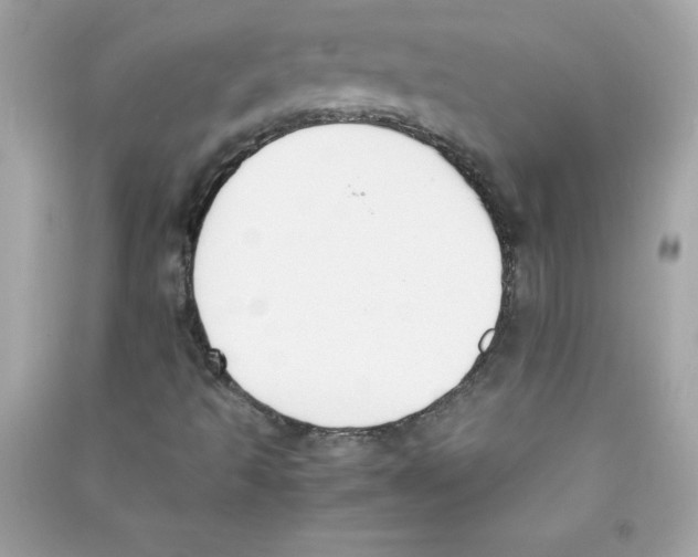 X0000090411493200708101907