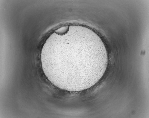 X0000090411494200708101907