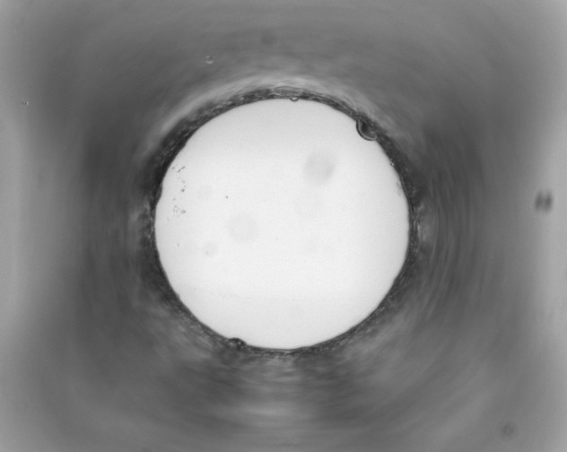 X0000090411495200708101907