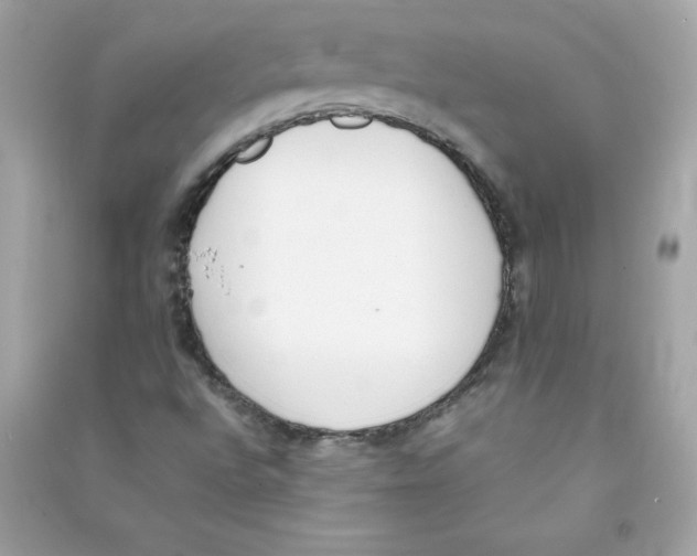 X0000090411496200708101907
