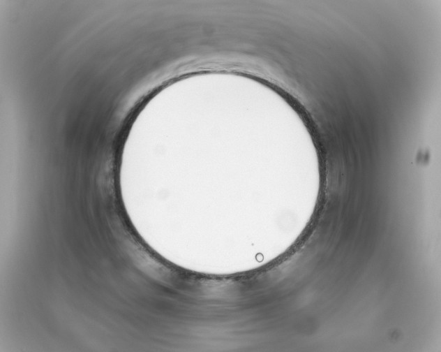 X0000090411498200708101908