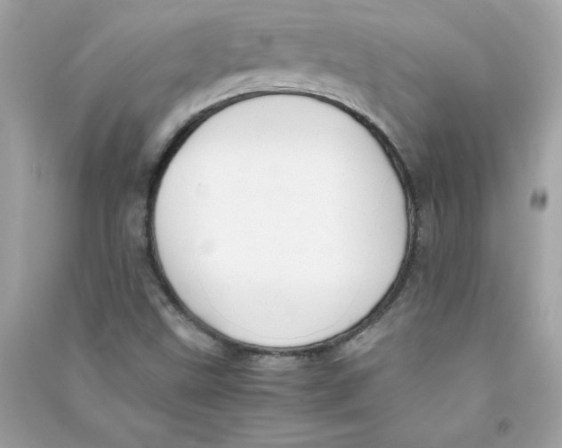 X0000090411499200708101908