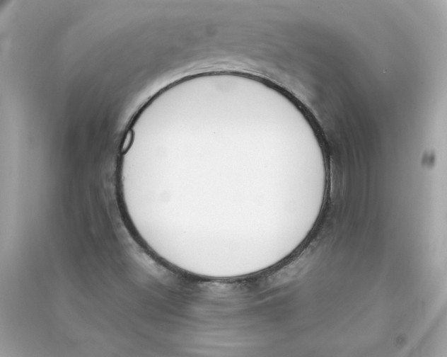 X0000090411500200708101908