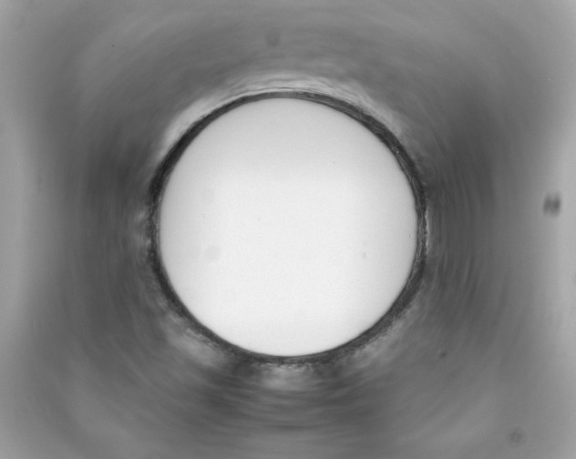 X0000090411501200708101908