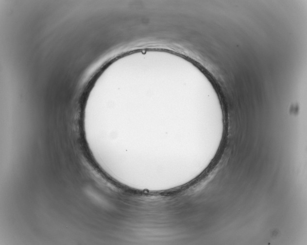 X0000090411502200708101908