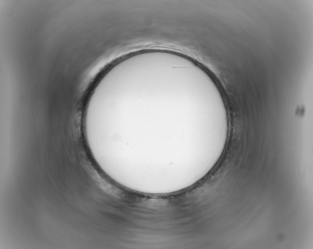 X0000090411503200708101908