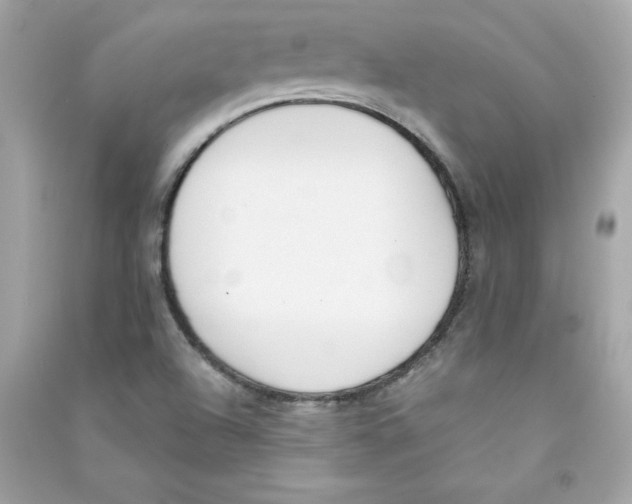 X0000090411504200708101908