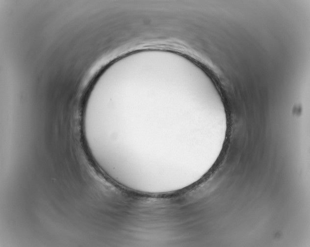 X0000090411506200708101908