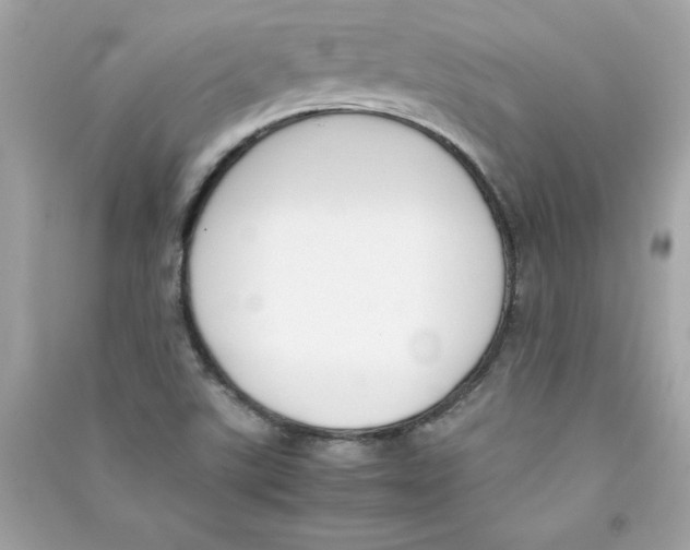X0000090411507200708101908