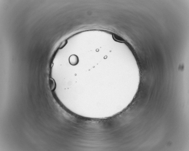 X0000090411508200708101908