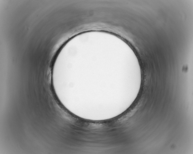 X0000090411509200708101908