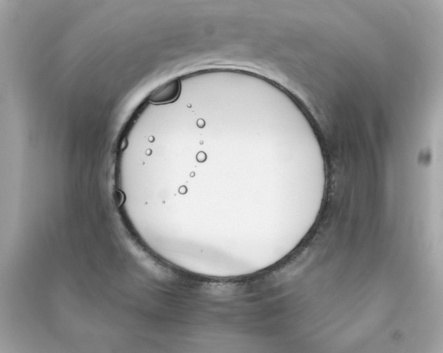 X0000090411511200708101908