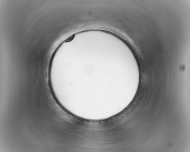 X0000090411512200708101908
