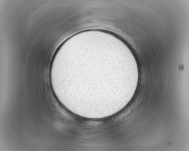 X0000090411513200708101908