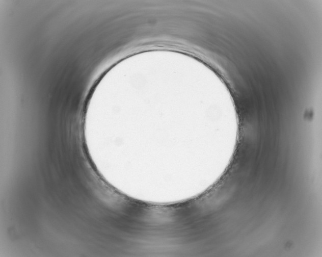 X0000090411514200708101908