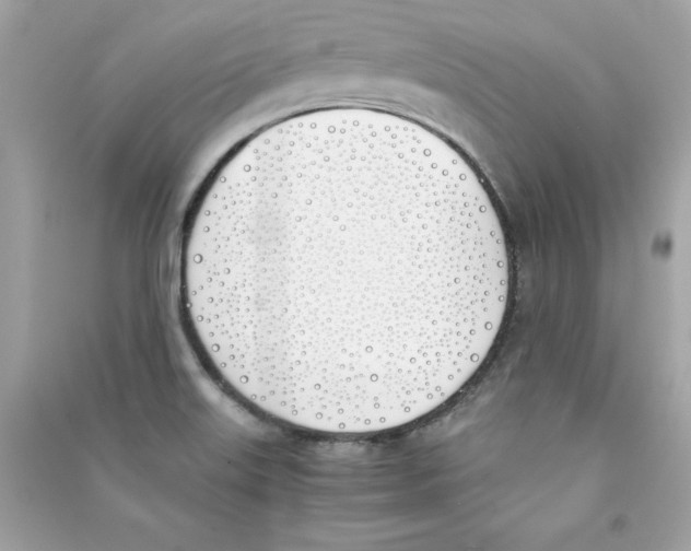 X0000090411515200708101908
