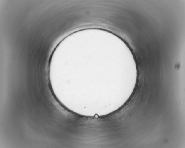 X0000090411516200708101908