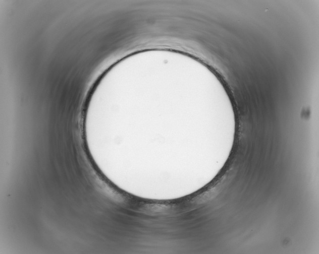 X0000090411517200708101908