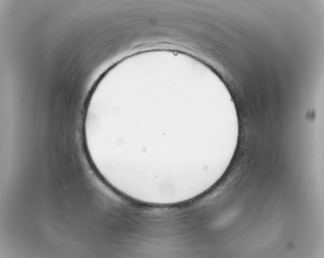 X0000090411518200708101908