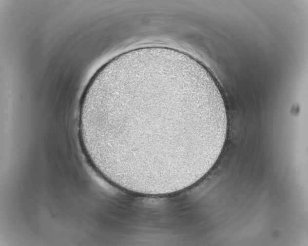 X0000090411519200708101908