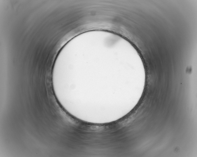 X0000090411521200708101908