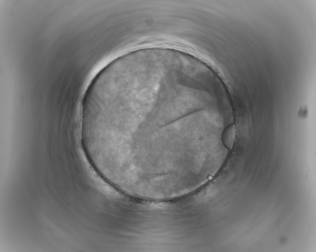 X0000090411522200708101908