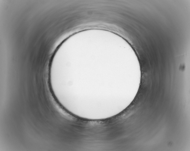 X0000090411523200708101908