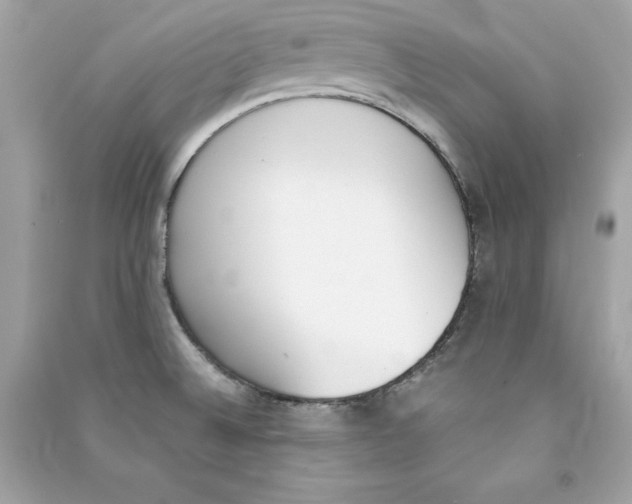 X0000090411524200708101908