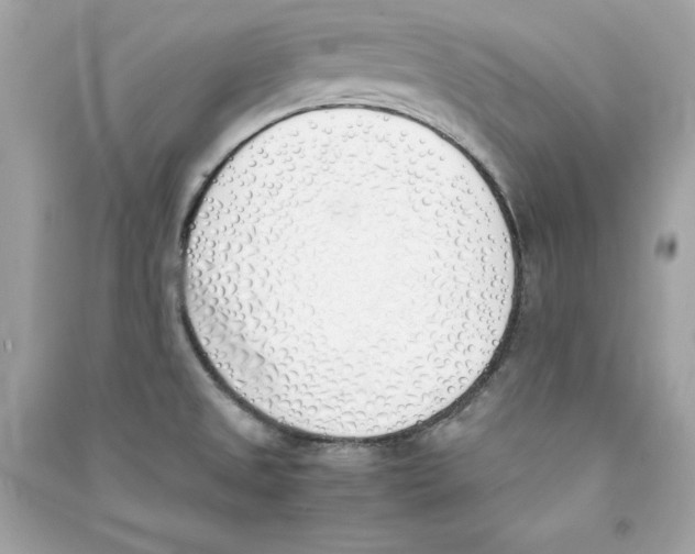 X0000090411525200708101908