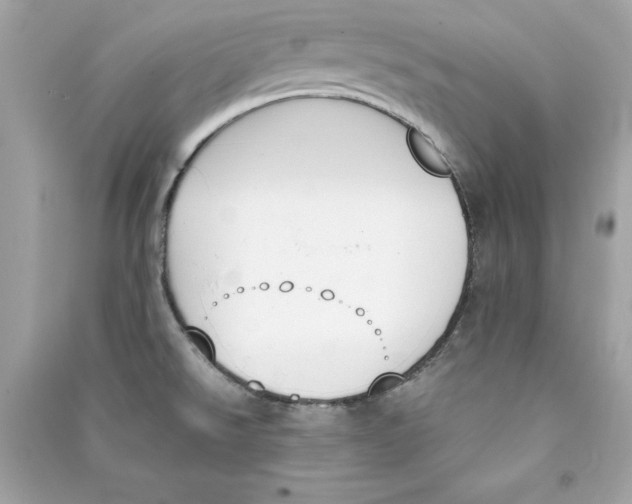 X0000090411526200708101908