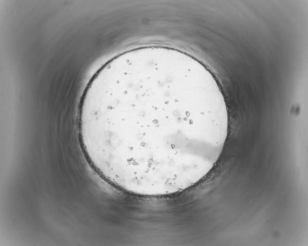 X0000090411527200708101908