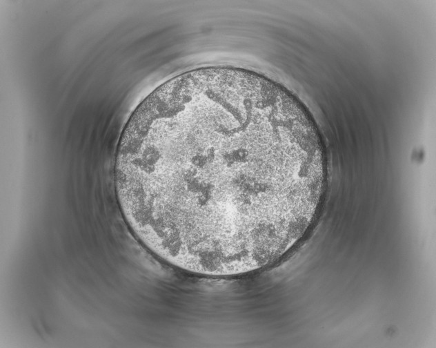 X0000090411529200708101908
