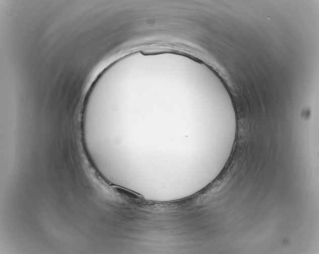 X0000090411530200708101908