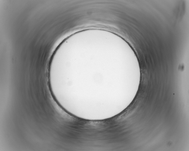 X0000090411531200708101908