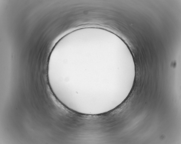 X0000090411534200708101908