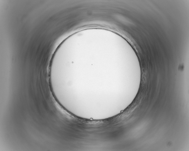X0000090411535200708101908