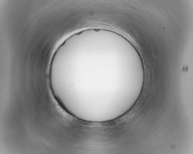 X0000090411536200708101908