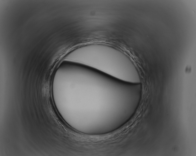 X0000090420002200707130956