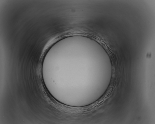 X0000090420004200707130956