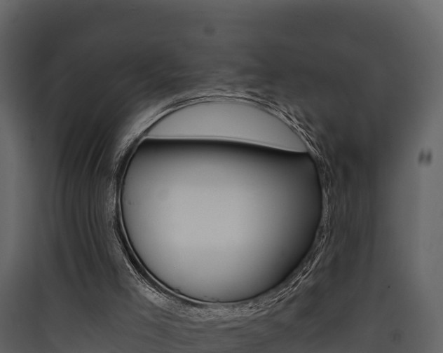 X0000090420005200707130956