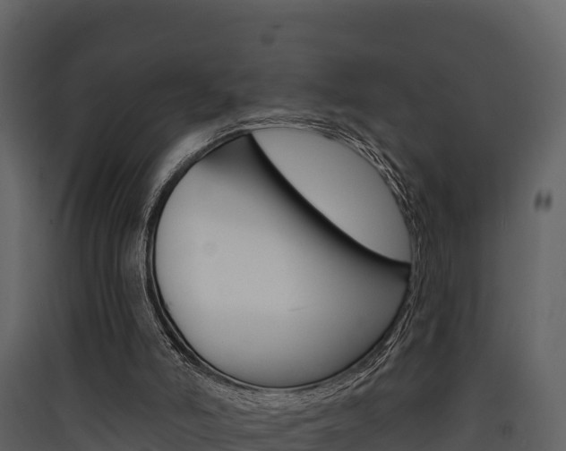 X0000090420006200707130956