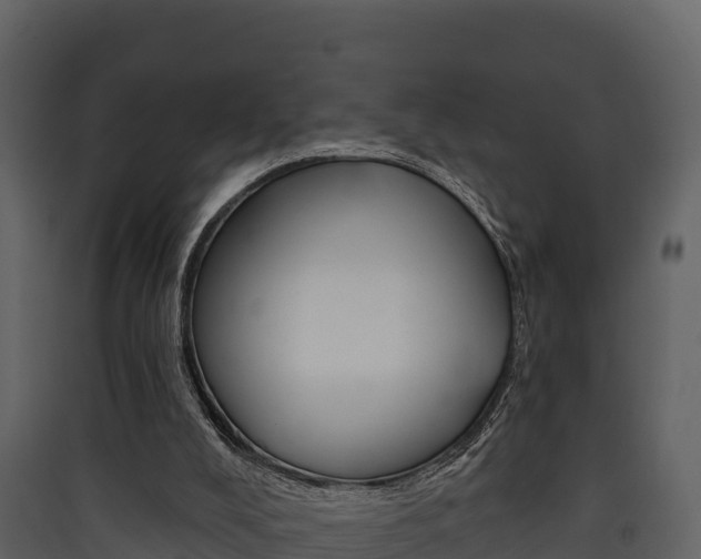 X0000090420008200707130956