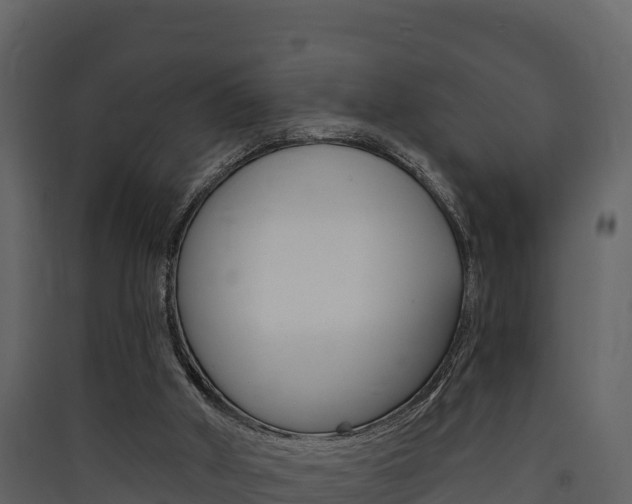X0000090420010200707130956