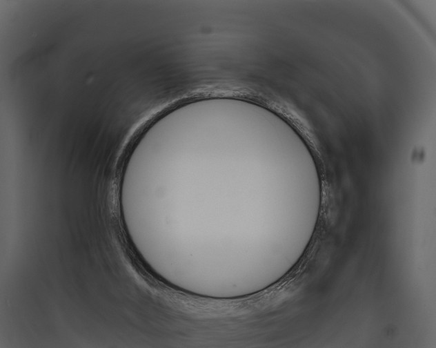 X0000090420012200707130956